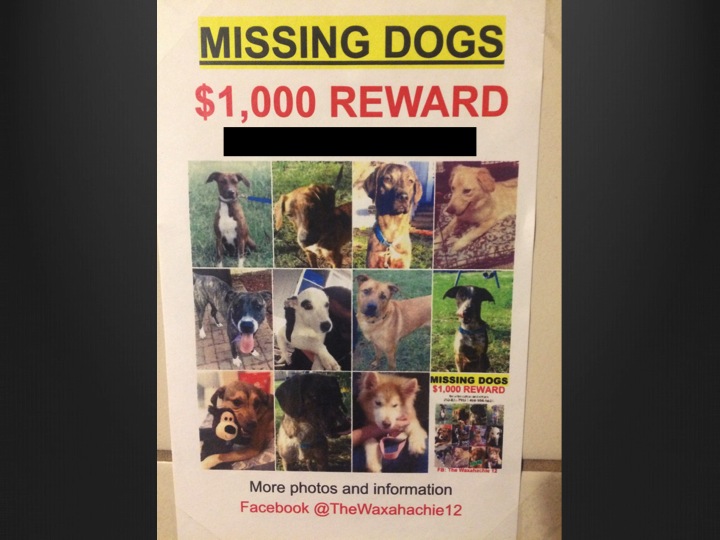 missing dogs no phone