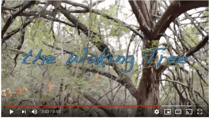 Screen Shot 2020-02-21 at 5.23.03 AM